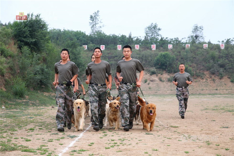 《中国精兵》第一期:神犬奇兵